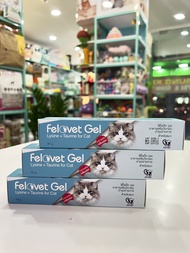 FELOVET GEL - GEL DINH DƯỠNG BỔ SUNG LYSINE VÀ TAURINE CHO MÈO TUBE 50g