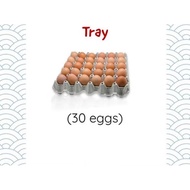 Egg Tray - Egg Tray - New Egg Container