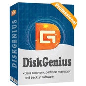 DiskGenius Professional  PC Software