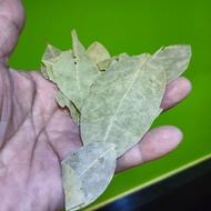Dried bay leaves