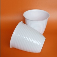 Flower Pot Goccie Pot/ 241 White Flower Pot/ Flower Pot/