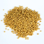 Baja Osmocote Controlled Released Fertilizer NPK 13:13:13