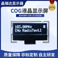 Lcd Dot Matrix Screen COG1602 Serial Port Character Symbol DAB lcd Module Anti-ESD Module Display FS