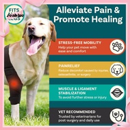 [SE] Dog Leg Injury Recovery Aid Dog Acl Tear Recovery Adjustable Dog Knee Brace for Acl Tear Suppor