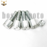 GS800 F800 CALIPER SPECIAL SCREW