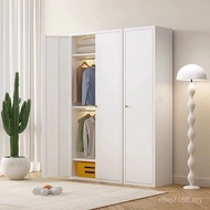 Lacquer Steel Baking Grade Dedicated Large Wardrobe Multi-Layer Small Apartment Modern Storage Metal