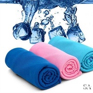 Quick Drying Microfiber Sports Towel Size 80x30cm - T481