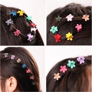 Bag of 10 Korean Style Mini Crab Clips KT1001 hk7 TD12