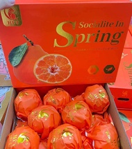 ส้มจุกตรานกแก้ว(เดโกปอง)
🍊🍊ไซร์ใหญ่ 🍊🍊กล่องส้ม,กล่องขาว🍊🍊หวาน หอม อร่อย
🍊🍊 1 กล่อง 4 kg.
