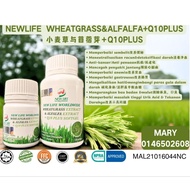 NEWLIFE WHEATGRASS&ALFALFA EXTRACT+Q10 PLUS 30softgels/120softgels (SHIP FROM SABAH)