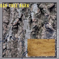 Cork Bark Terrarium Background Reptiles Bedding Animal Habitat Oak Cork Species Small