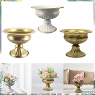 [Freneci] Flower Pot, Delicate Planter, Flower Holder, Plant Container, Flower Pot, Decorative Vase for Wedding, Dried Flowers, Decorative
