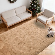 Cozy Winter Area Rug 4x6,Ultra Soft ‌Plush Shaggy Rug Non Slip for Living RoomBedroom,KidPet Friendl