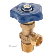 [Kesoto1] WP-15 Copper Argon Cylinder 20MPa Inert Gas Bottle Regulator Leak-