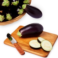 RedMart Round Brinjal Aubergine Eggplant
