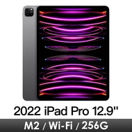 iPad Pro 12.9吋 Wi-Fi 256G-太空灰 MNXR3TA/A