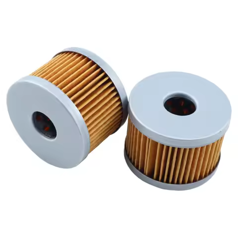 2PCS Motorcycle Oil Filter for Benelli 1691-2432-0000 TNT125 TNT135 BJ125-3E BJ125-3F BN125 TNT150i