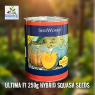 ULTIMA F1 HYBRID SQUASH SEEDS 250g