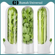 Vegetable Herb Storage Container / Celery Storage for Onions, Basil, Mint, Asparagus