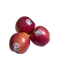 USA Fresh Envy Apple 3Nos