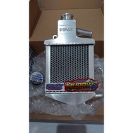 Radiator vario 125/150 pcx 150
