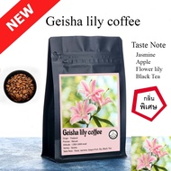 Geisha lily coffee Beans Natural Fragrant A Unique Scent
