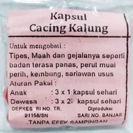 obat herbal alami kapsul cacing kalung tuk penyakit tipes maag & gejala lainnya (1 pack isi 50 kapsu