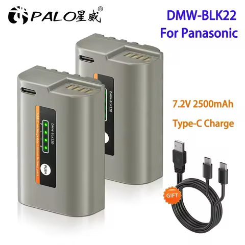 2500mAh DMW BLK22 DMW-BLK22 Battery + Type-C Fast Charge Cable for Panasonic LUMIX S5 S5 II S5 IIX D
