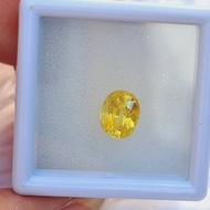 天然加熱黃色藍寶石 2.05 克拉尺寸 6×8 毫米