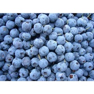 ( FOR KL & PJ AREA ONLY ) CAPFRUIT / CROPS FROZEN IQF FRUITS BERRIES 1KG SELECTION