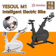 XIAOMI YESOUL M1/M1 Pro Electric Bike Indoor Exercise Bike Intelligent Sports Fitness Bike Bicycle