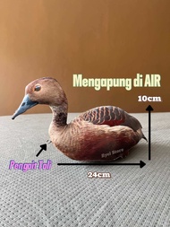 Alat pikat Jontrot Burung Belibis Polos - Belibis Batu