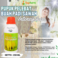 Pupuk Pelebat Buah / Pupuk Semprot Khusus Padi / Obat Padi Sawah / Obat Padi Biar Buah Berbobot / Ob