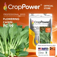 (500 GRAM) Biji Benih Sawi Bunga Hongkong Shangrila 香格里拉 FC99 CROP POWER Hong Kong Flowering Caixin