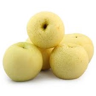 Fresh Fruits - [KLANG VALLEY] Century Pear 5pcs