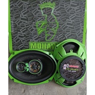 Mohawk 6"x9" Speaker