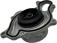 LFAMZX Car Water Pump Compatible for Porsche Cayenne Macan EA839 A30P-9A712101303 Automotive Replace