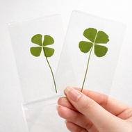 Luckysoul 4-Leaf Clover Card (Four-Leaf Clover) With 1 Real Envelope For A Long Time-Attract Luck Mo