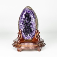 ESP 烏拉圭恐龍蛋 261600