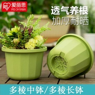 gwm2 Alice's multi edged medium bowl, long bowl, circular flower pot, resin flower pot, vegetable flower pot, succulent plastic flower pot, multi-purpose pot Planters