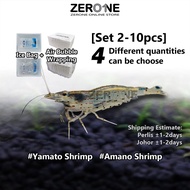 ZERONE 2-10pcs Yamato Shrimp / Amano Shrimp / Algae Shrimp / 大和藻虾 / 珍珠虾 / Algae Eater / Tank Cleaner