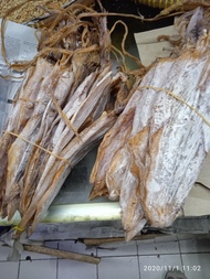 cumi kering / juhi kering