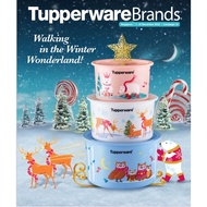 Tupperware Christmas One Touch collection