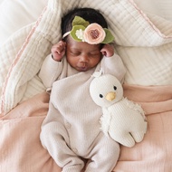 cuddle + kind Baby Gosling