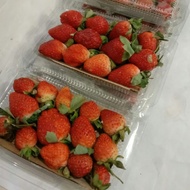 BUAH STRAWBERRY FRESH ( 1KG ) /STROBERY FRESH 1 KG