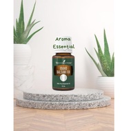 Idaho Balsam Fir - Young Living Essential Oil 15ml