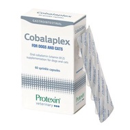 Protexin - Cobalaplex 維他命B12補充劑 60 粒 (貓犬適用) (Exp. 04/2026)