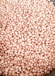 Kacang Tanah sudah di kupas 1kg