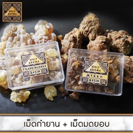 HolyAroma SetFrankincense Resin Gum Tear (Superior Hojari) 100% Authentic Highest and Finest from Om