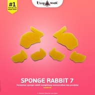 Sponge Rabbit - Rabbit Sponge magic tool - Sponge magic